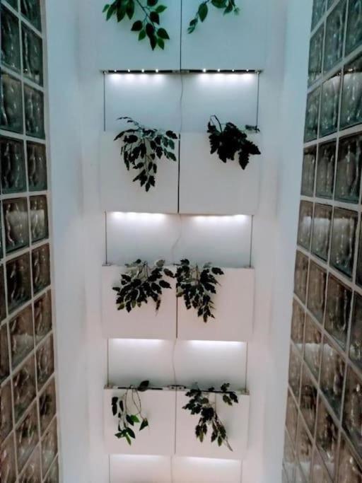 Luxury Complete Building In The Heart Of Séville Extérieur photo